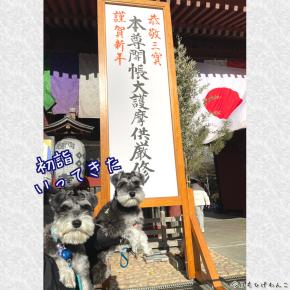 ワンコズ、初詣