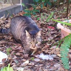 明けましておめでとうございます