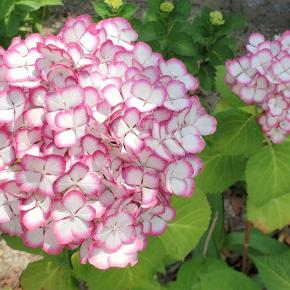 最悪な出来事を経験したけれど最悪な人生ではない･･･最悪な出来事と最悪な人生はセットではない