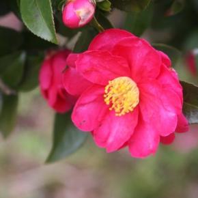 自分を大切に･･･自分を大切にした結果、他者が傷つくこともあるけれど、