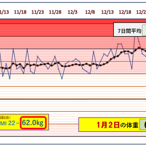 家計簿ブログ第39週の締めと賑やかな新年【1月2日】
