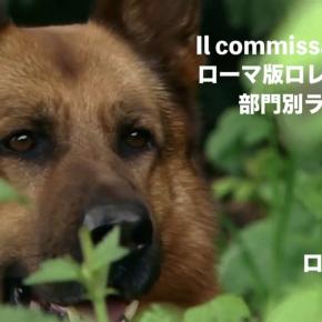 ロレンツォ＆レックス〜ローマ警察シェパード犬刑事☆部門別ランキング 刑事編ロレンツォ