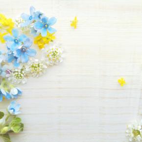 【2025年12月】年末商戦炸裂で過去最高粗利大幅更新。中国輸入の年間目標も達成！