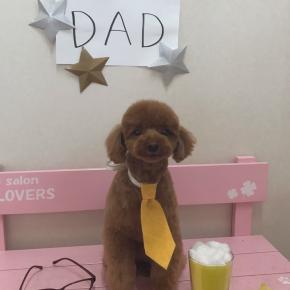 男子高校生弁当🍱今日も病院へ❤️‍🩹トリミングの日🐶手作りポテチ🥔✨