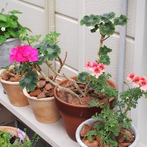 刺繍を続ける中で自分も整っていく