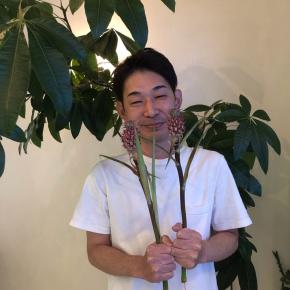 オリーブグレージュ・ラベージュ、パイナップル