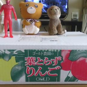 弟からの差し入れ・199 Gift from My Younger Brother 199