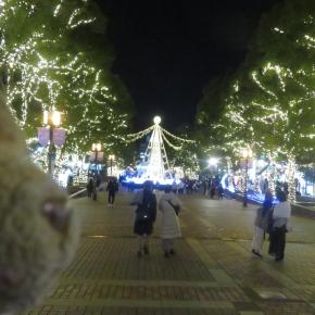 多摩センターのイルミネーション Tama Center Illuminations