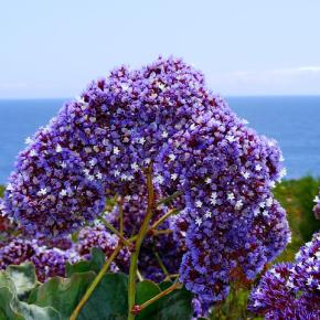 心と体の健康を促進するためのストレス管理法