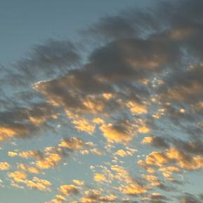 症状が酷すぎた数ヶ月と、PET-CTの結果の暗雲