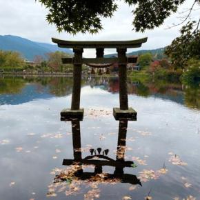 令和何年だか覚えられないうちに終わる