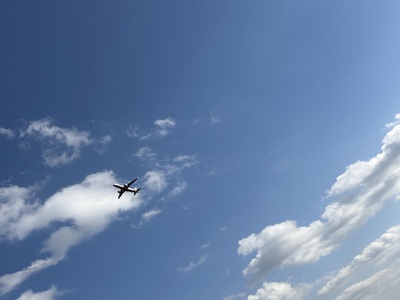 また空を飛びたくもある