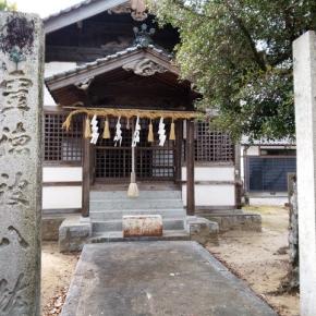 電動チェーンソー買っちゃった