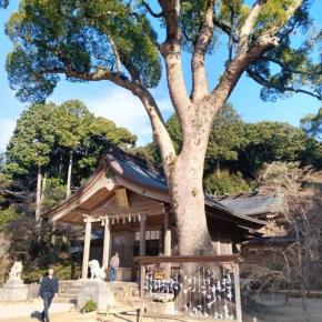 宝満宮竈門神社に参拝した