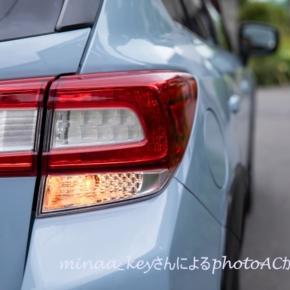 寂しくなりました