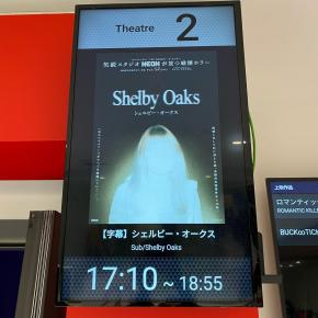 映画はハズレ、掃除は当たり