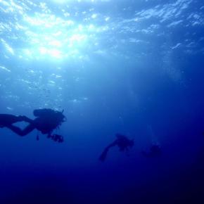 怖い話シリーズ