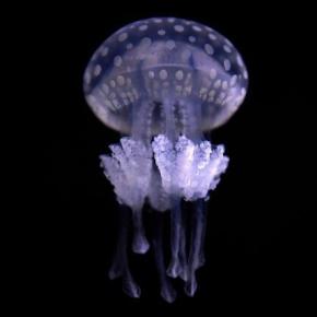 DBのVACUUMとはなんですか