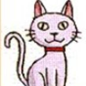 11-18 ヤフオク再始動