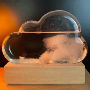 春キャベツの様子など