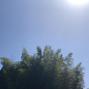 注文住宅、太陽光発電についての結論