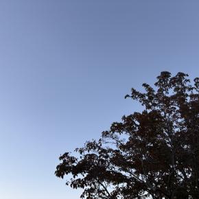 注文住宅、完成間近！今後のお金に真面目に考えてほしい旦那のこと