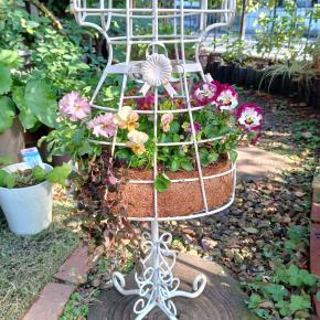 トルソーに寄せ植え