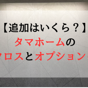 【追加はいくら？】タマホームの標準クロスとオプションクロスを解説