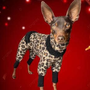 レオパードビスコ