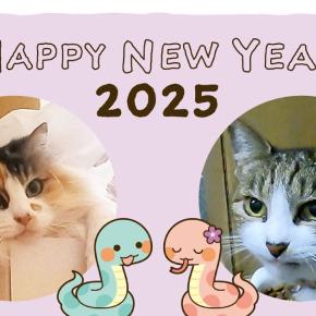 年が変わったとたんに夏の心配