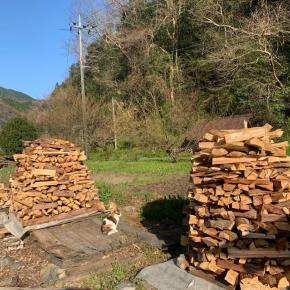 自然豊かなスローライフの魅力を解説！【田舎暮らしのいいところ】