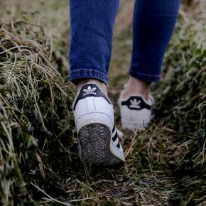 不妊退職して1年、何が変わっただろう