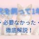 犬を飼って1年。変わったことや必要なかったもの、こうすればよかった！を徹底解説します！