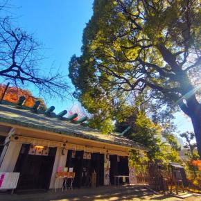 駒込天祖神社と駒込富士神社【東京都】