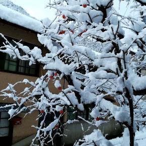 かぎ針編みの靴下 完成！