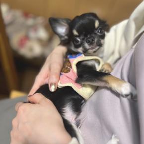 今年の抱負と保健室の面々