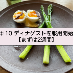 ♯10 ディナゲストを服用開始【まずは2週間】