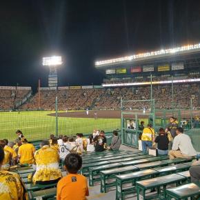 井上ロッテ移籍