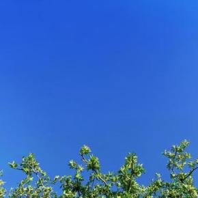 地元の友達が亡くなった ー M、いつかあっちで会おうね