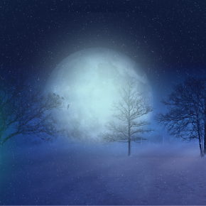 土の時代最後の満月：牡牛座満月に愛を感じ感謝する（ビーバームーン）