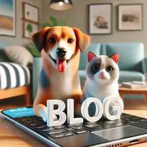 【2025年6月】 アクセス数 