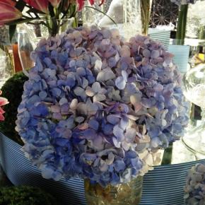 ブログについて我思う…②