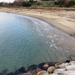 日和山釣り納め？キャロでアジング。突堤閉鎖前ラストチャレンジ（仮）！