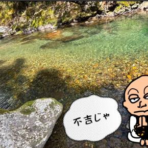 厳しい郡上の渓流釣り（4月初旬）