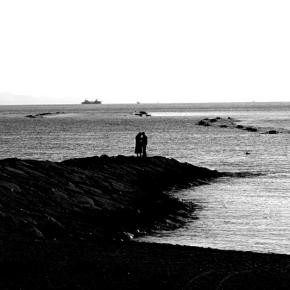 本日の散歩カメラ