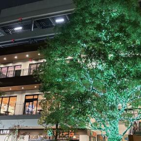 40代男が婚活パーティーに行ってみた77