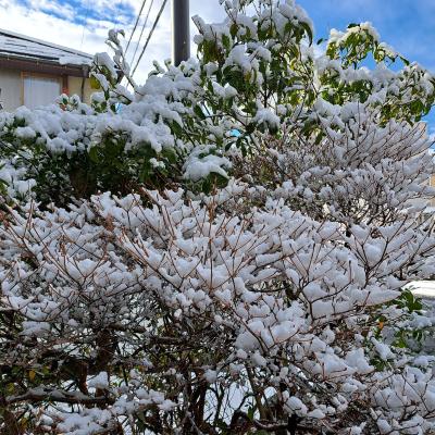 外は雪、家の中は温かくして… (((o(*ﾟ▽ﾟ*)o)))