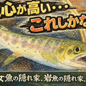 【フライフィッシング】警戒心が高い・・・これしかない！