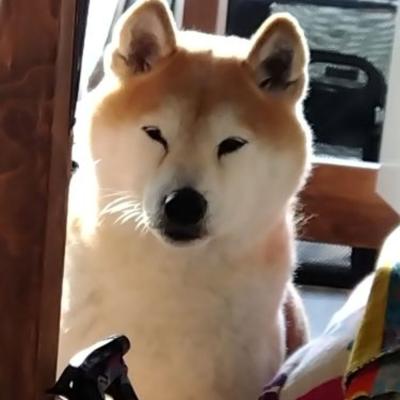 幸先の悪いスタート