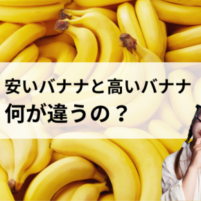 安いバナナと高いバナナ...何が違う？理由は意外だった！
